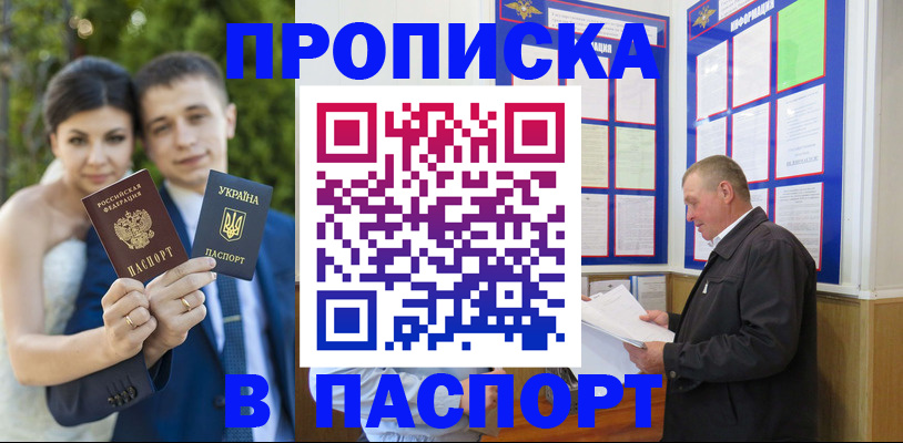 прописка в Северске